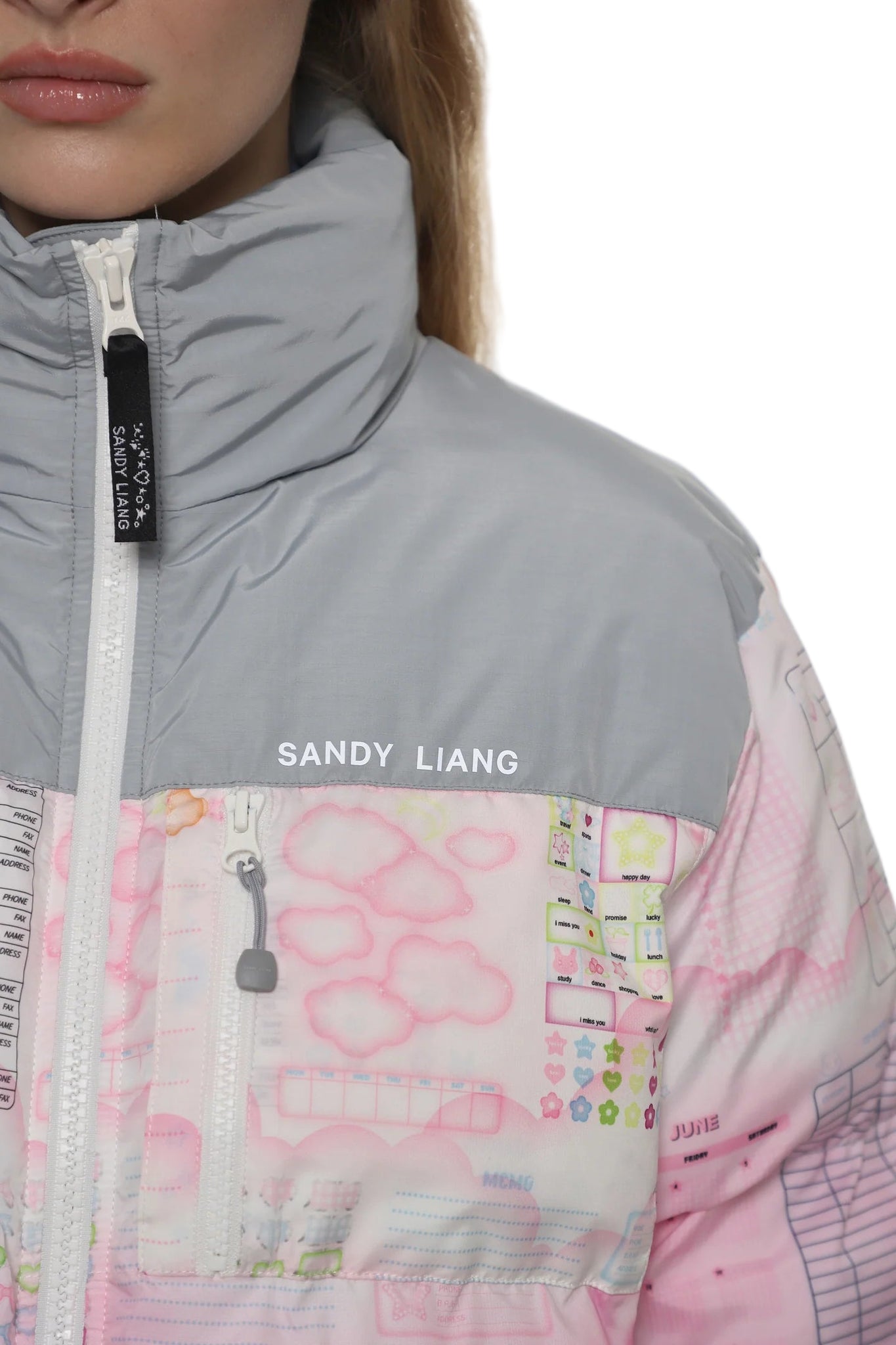 Sandy Liang Jeffey Puffer Jacket in Pink Multi