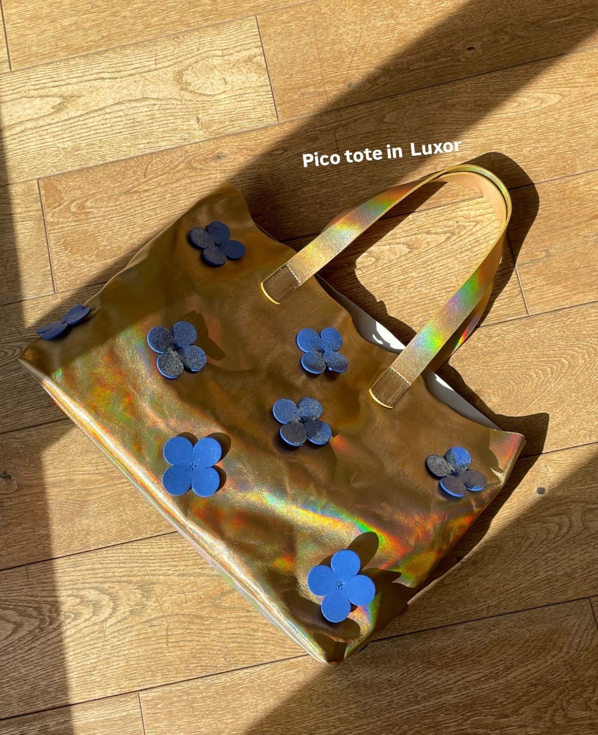 Maryam Nassir Zadeh Pico Tote in Moab/Luxor